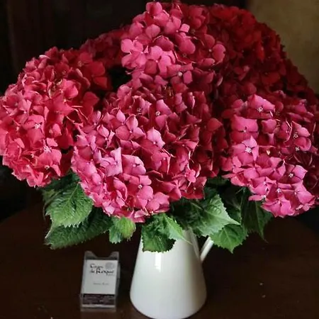 Casa De Roque * Outes