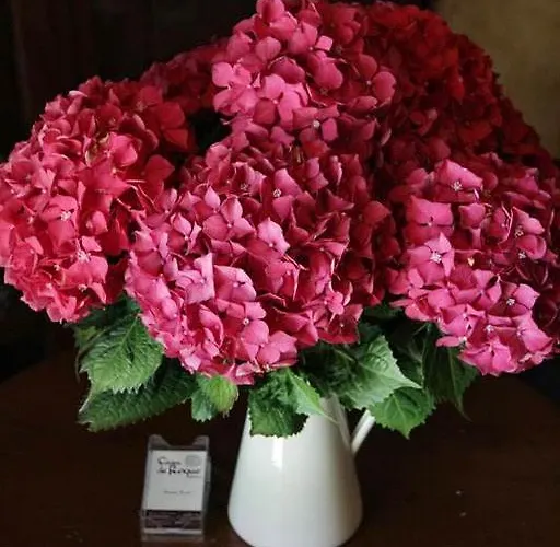 Casa De Roque * 아우티스