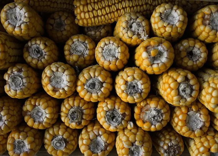 컨트리하우스 Casa De Roque